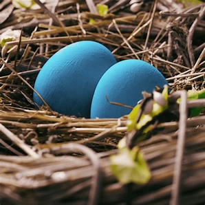 Blue Egg